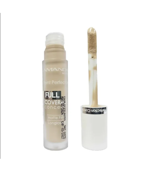 amanda teint perfection full coverage concealer 01