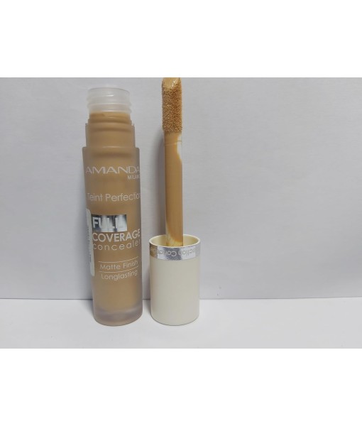 amanda teint perfection full coverage concealer 06