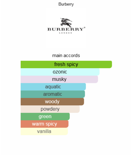 burberry touch for men eau de toilette 100ml