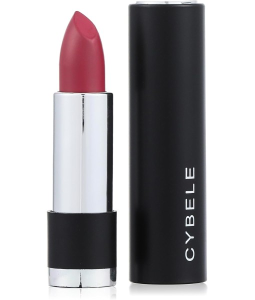 cybele matte lipstick 307 Dark Lilac