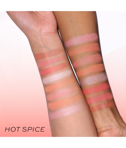 revolution blush palette hot spice 